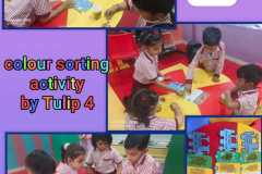 WhatsApp-Image-2024-06-19-at-1.34.47-PM-1